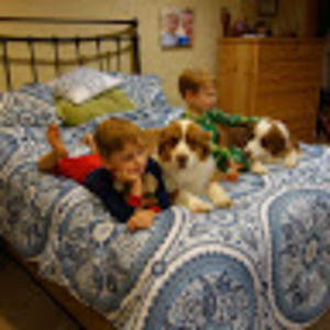 Meet your Posher, Joanne